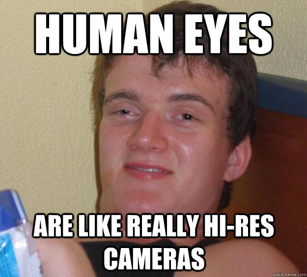 human eyes  are like really hi-res cameras  10 Guy