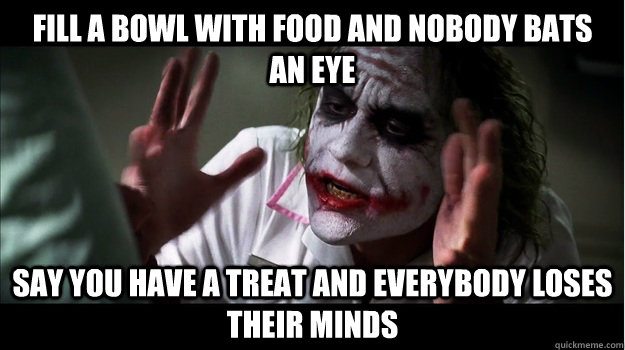 Fill a bowl with food and nobody bats an eye Say you have a treat and everybody loses their minds  Joker Mind Loss