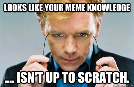 Looks like your meme knowledge .... isn't up to scratch. - Looks like your meme knowledge .... isn't up to scratch.  Horatio Caine