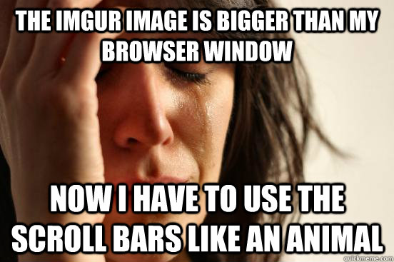 The IMGUR image is bigger than my browser window now i have to use the scroll bars like an animal  First World Problems