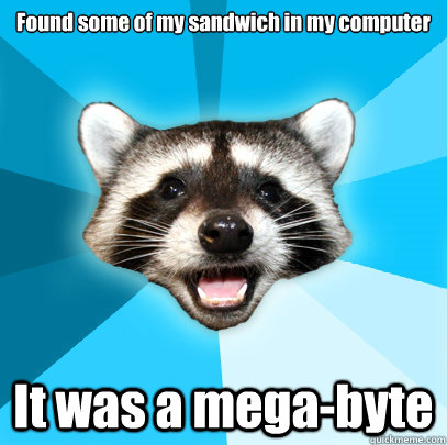 Found some of my sandwich in my computer


 It was a mega-byte  Lame Pun Coon