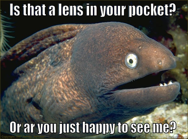 IS THAT A LENS IN YOUR POCKET? OR AR YOU JUST HAPPY TO SEE ME? Bad Joke Eel