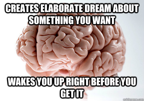 creates elaborate dream about something you want wakes you up right before you get it - creates elaborate dream about something you want wakes you up right before you get it  Scumbag Brain