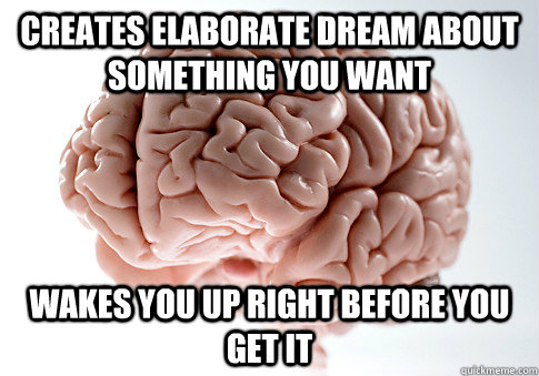 creates elaborate dream about something you want wakes you up right before you get it  Scumbag Brain