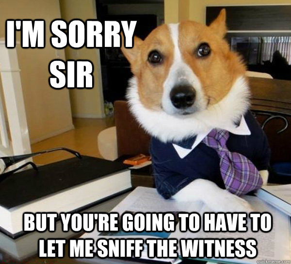 i'm sorry sir but you're going to have to let me sniff the witness  Lawyer Dog