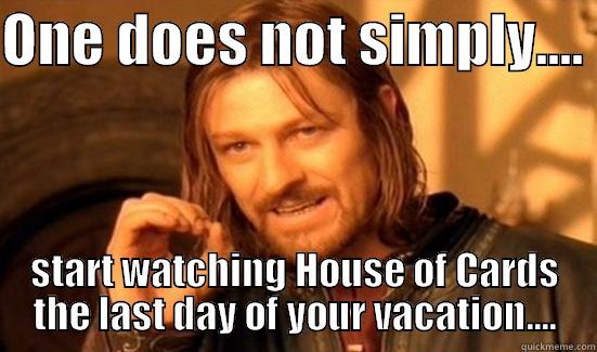 ONE DOES NOT SIMPLY....  START WATCHING HOUSE OF CARDS THE LAST DAY OF YOUR VACATION.... Boromir