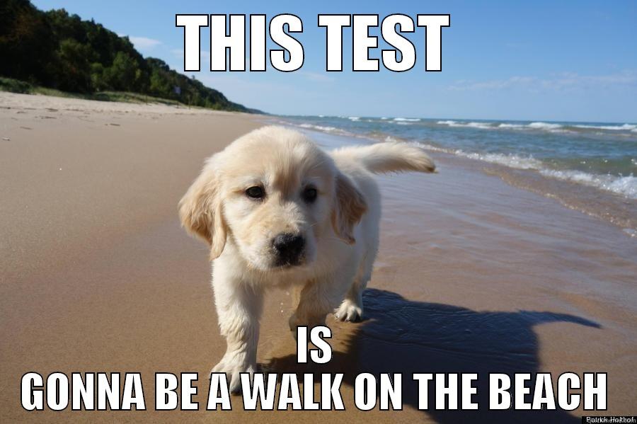 THIS TEST IS GONNA BE A WALK ON THE BEACH Misc