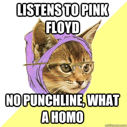 LISTENS TO PINK FLOYD NO PUNCHLINE, WHAT A HOMO  Hipster Kitty