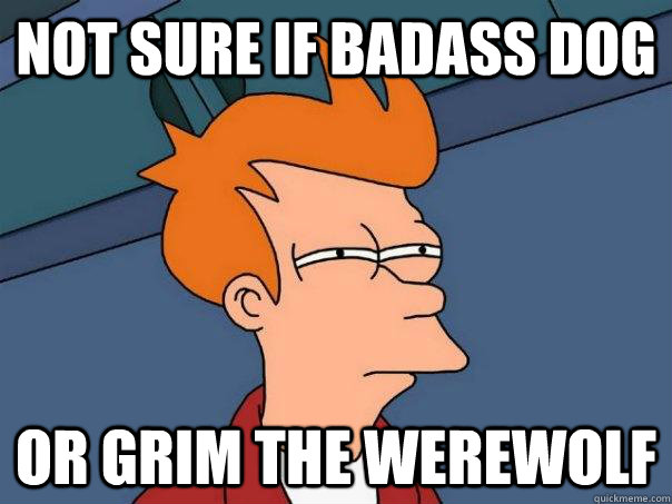 not sure if badass dog or grim the werewolf  Futurama Fry