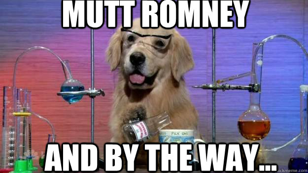 Mutt Romney And by the way...  Chemistry Dog