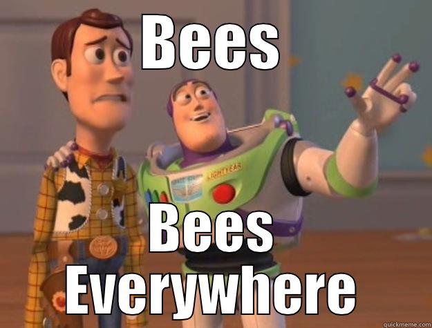 Our Picninc - BEES BEES EVERYWHERE Toy Story