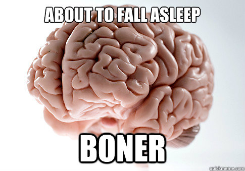 About to fall asleep Boner - About to fall asleep Boner  Scumbag Brain