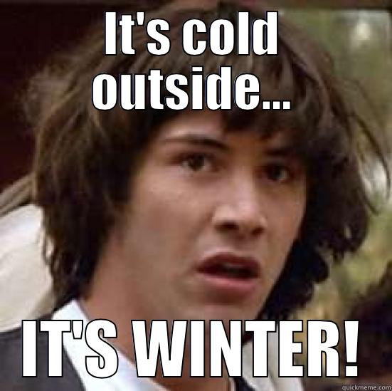 IT'S COLD OUTSIDE… IT'S WINTER! conspiracy keanu