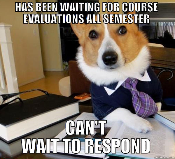 COURSE EVAL CORGI - HAS BEEN WAITING FOR COURSE EVALUATIONS ALL SEMESTER CAN'T WAIT TO RESPOND Lawyer Dog