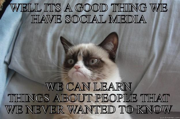WELL ITS A GOOD THING WE HAVE SOCIAL MEDIA WE CAN LEARN THINGS ABOUT PEOPLE THAT WE NEVER WANTED TO KNOW Grumpy Cat