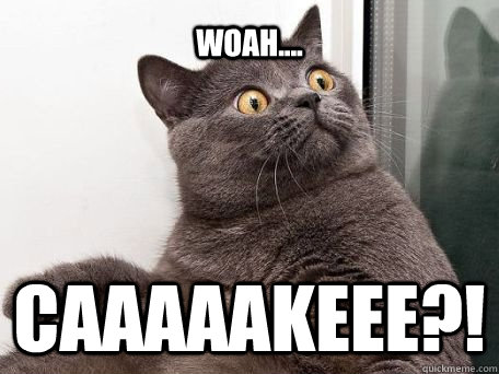 Woah.... Caaaaakeee?!  conspiracy cat