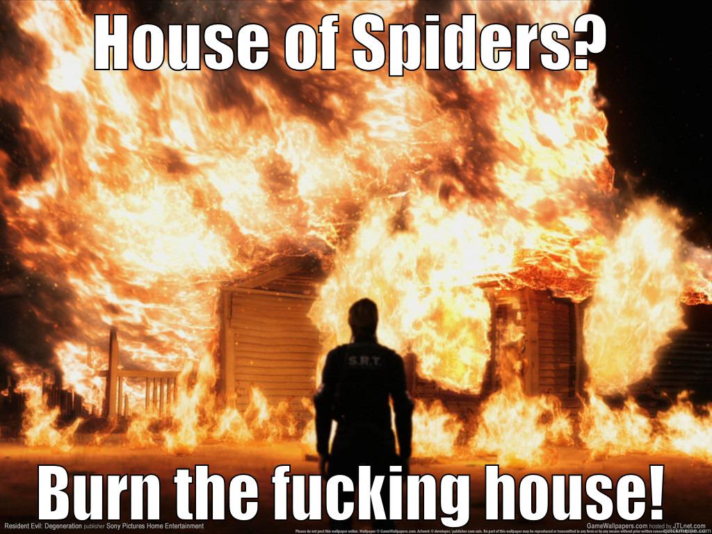 HOUSE OF SPIDERS? BURN THE FUCKING HOUSE! Misc
