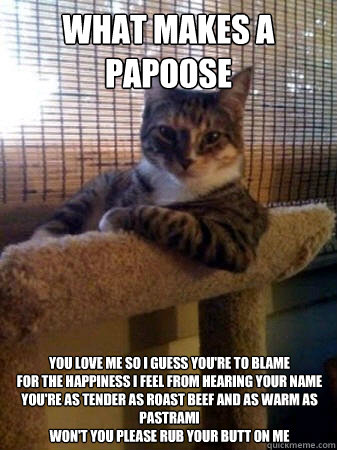 What makes a papoose You love me so i guess you're to blame
for the happiness I feel from hearing your name
you're as tender as roast beef and as warm as pastrami
won't you please rub your butt on me  The Most Interesting Cat in the World