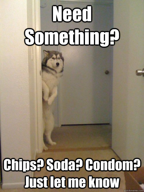 Need Something? Chips? Soda? Condom? Just let me know - Need Something? Chips? Soda? Condom? Just let me know  standing dog