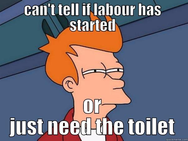 CAN'T TELL IF LABOUR HAS STARTED OR JUST NEED THE TOILET Futurama Fry
