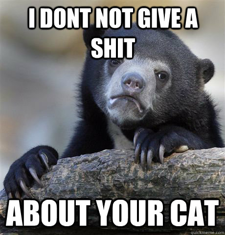 I dont not give a shit about your cat  Confession Bear