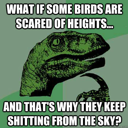 What if some birds are scared of heights... And that's why they keep shitting from the sky?  Philosoraptor