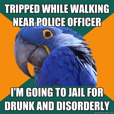 Tripped while walking near police officer I'm going to jail for drunk and disorderly   Paranoid Parrot