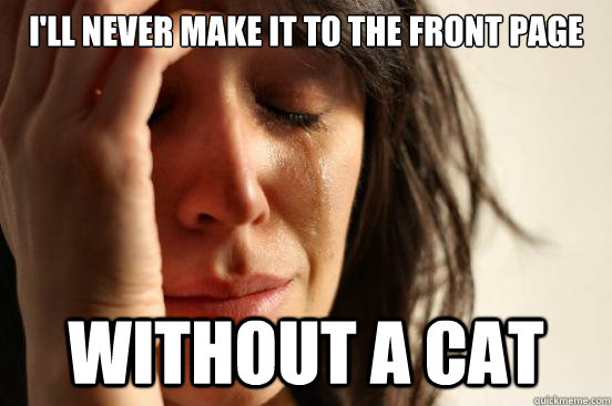 I'll never make it to the front page without a cat  First World Problems