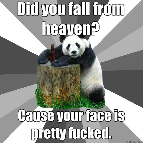 Did you fall from heaven? Cause your face is pretty fucked.  Pickup-Line Panda