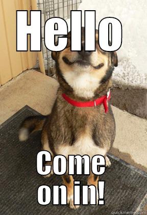 HELLO COME ON IN! Good Dog Greg