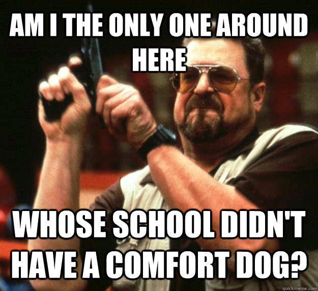 AM I THE ONLY ONE AROUND HERE whose school didn't have a comfort dog?  Angry Walter