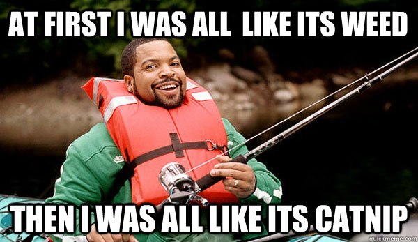 At first i was all  like its weed then i was all like its catnip  Family Man Ice Cube