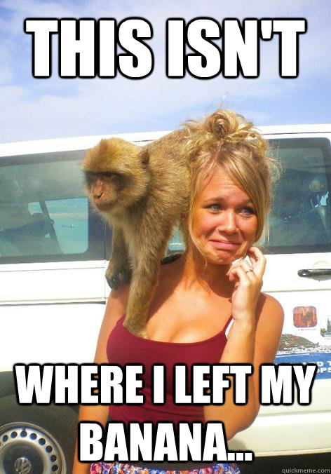 This isn't Where i left my banana...  Smart Monkey
