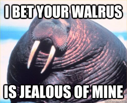 I bet your walrus is jealous of mine - I bet your walrus is jealous of mine  Relationship Advice Walrus