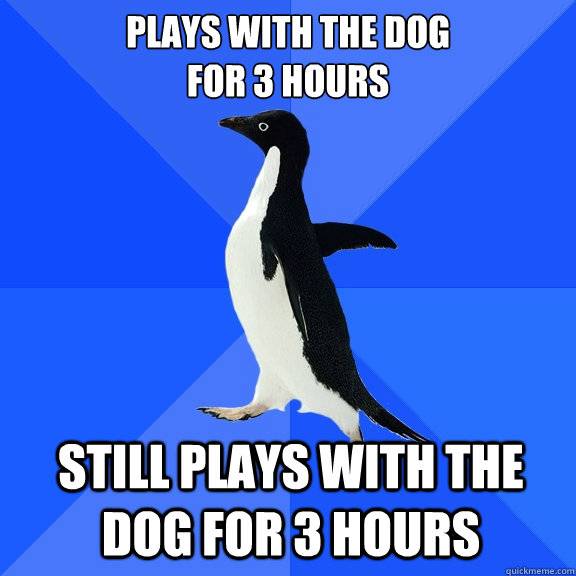 plays with the dog 
for 3 hours still plays with the dog for 3 hours  Socially Awkward Penguin