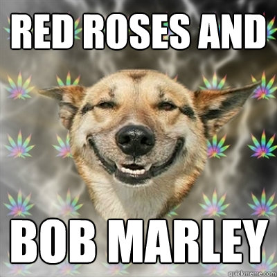 Red roses and Bob marley  Stoner Dog