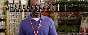 WHAAAAAAAAATTTTT!?!?!?!  Misc