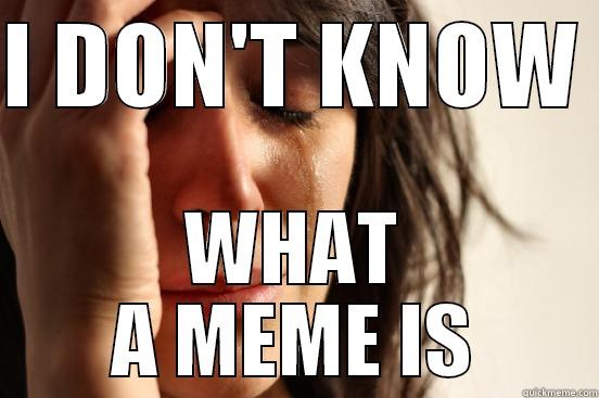 I DON'T KNOW  WHAT A MEME IS First World Problems