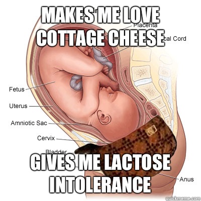 Makes me love cottage cheese gives me lactose intolerance  