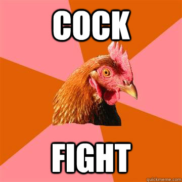 cock fight - cock fight  Anti-Joke Chicken