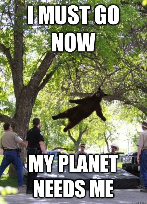 I MUST GO NOW MY PLANET NEEDS ME - I MUST GO NOW MY PLANET NEEDS ME  FLYING BEAR