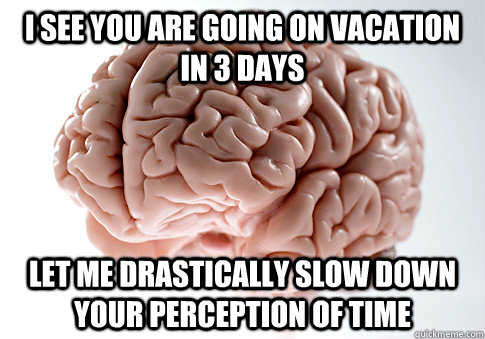 I see you are going on vacation in 3 days Let me drastically slow down your perception of time  Scumbag Brain