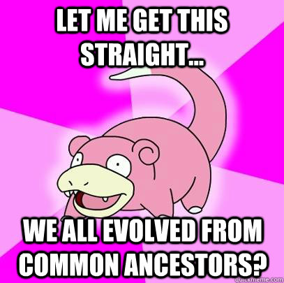 Let me get this straight... We all evolved from common ancestors?  Slowpoke