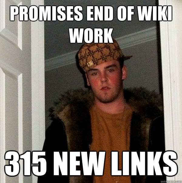 Promises end of wiki work 315 new links  Scumbag Steve