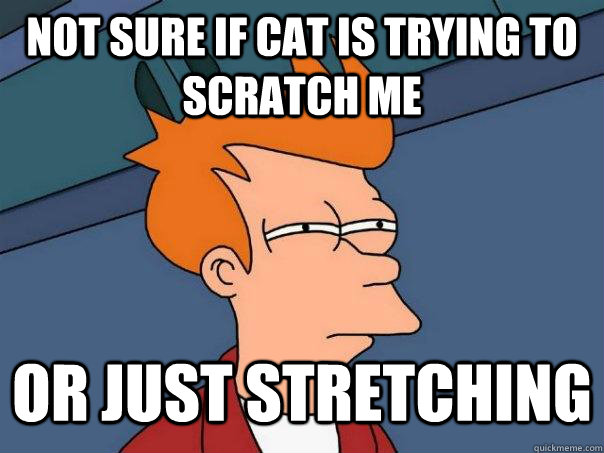 Not sure if cat is trying to scratch me Or just stretching  Futurama Fry