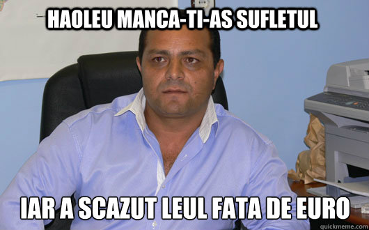 Haoleu manca-ti-as sufletul Iar a scazut leul fata de euro  Omul de Afaceri Rrom