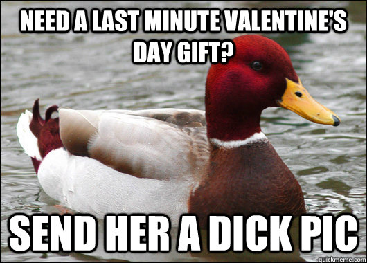 Need a last minute Valentine's Day gift? Send her a dick pic  Malicious Advice Mallard