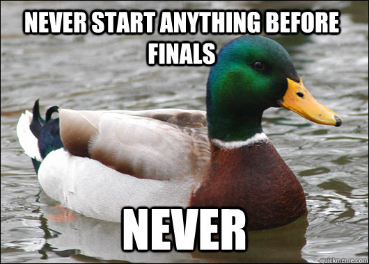 never start anything before finals never  Actual Advice Mallard