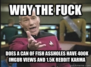 WHY THE FUCK does a can of fish assholes have 400k imgur views and 1.5k reddit karma  Annoyed Picard