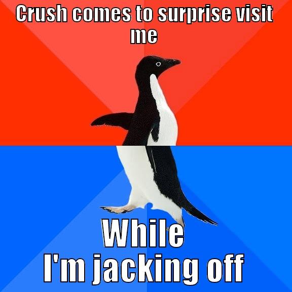 knock knock - CRUSH COMES TO SURPRISE VISIT ME WHILE I'M JACKING OFF Socially Awesome Awkward Penguin